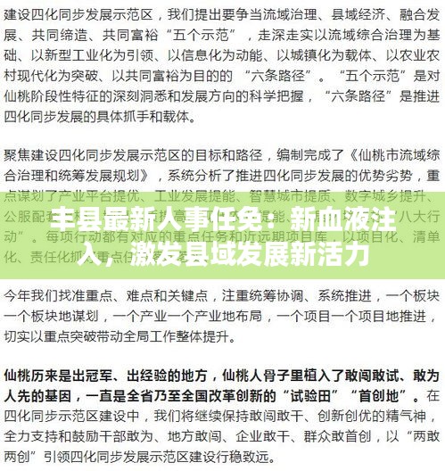 丰县最新人事任免：新血液注入，激发县域发展新活力