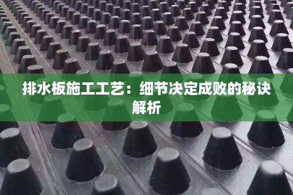 排水板施工工艺：细节决定成败的秘诀解析