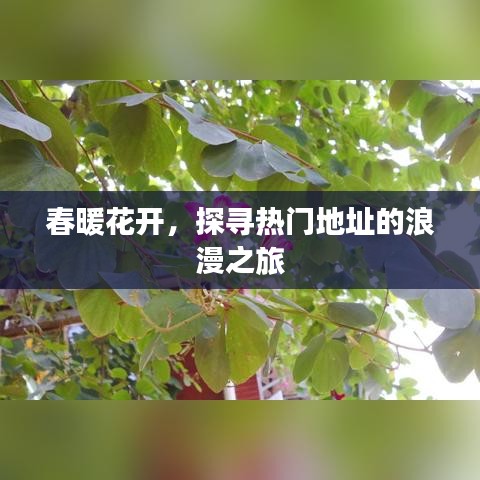 春暖花开，探寻热门地址的浪漫之旅