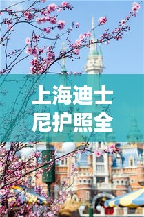 上海迪士尼护照全新升级，畅游乐园新体验