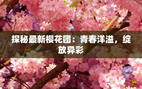 探秘最新樱花团：青春洋溢，绽放异彩