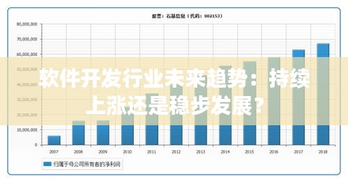 软件开发行业未来趋势：持续上涨还是稳步发展？