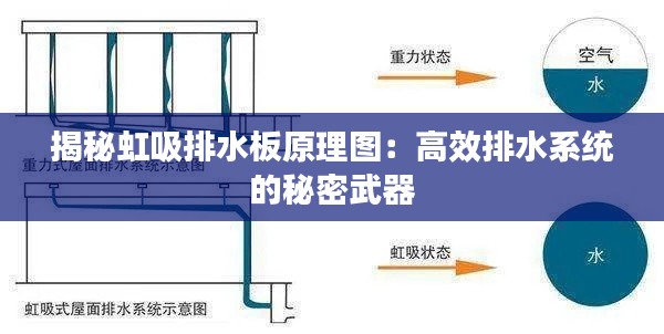 2024年12月12日 第6页