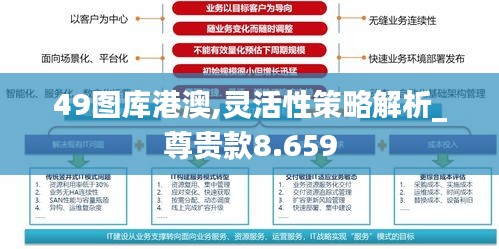 49图库港澳,灵活性策略解析_尊贵款8.659