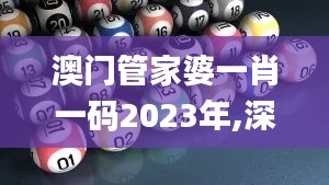 澳门管家婆一肖一码2023年,深入数据策略解析_Lite3.699