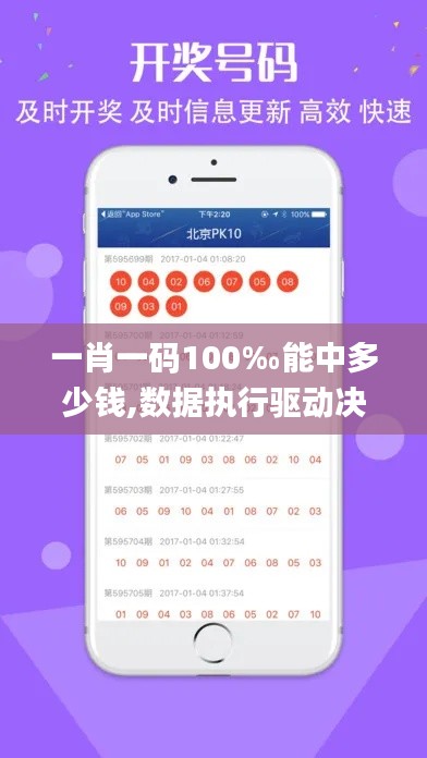 一肖一码100‰能中多少钱,数据执行驱动决策_限定版4.595