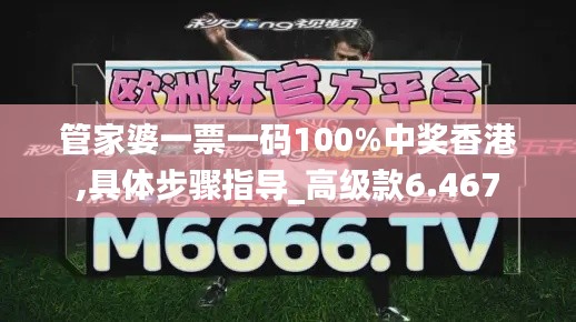 管家婆一票一码100%中奖香港,具体步骤指导_高级款6.467