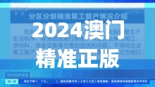 2024澳门精准正版澳门,实践案例解析说明_进阶版19.722