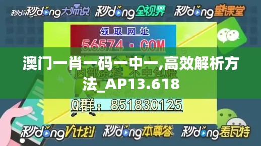 澳门一肖一码一中一,高效解析方法_AP13.618