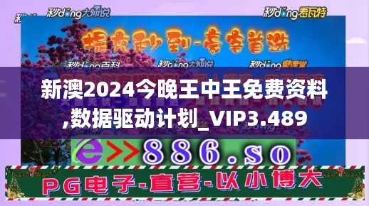 新澳2024今晚王中王免费资料,数据驱动计划_VIP3.489