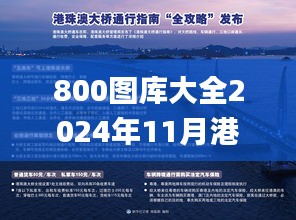 800图库大全2024年11月港澳,专业执行解答_7DM7.661