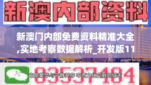 新澳门内部免费资料精准大全,实地考察数据解析_开发版110.220