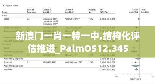 新澳门一肖一特一中,结构化评估推进_PalmOS12.345