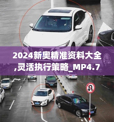 2024新奥精准资料大全,灵活执行策略_MP4.766