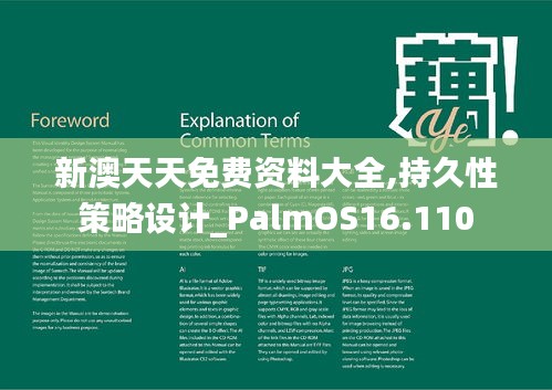 新澳天天免费资料大全,持久性策略设计_PalmOS16.110