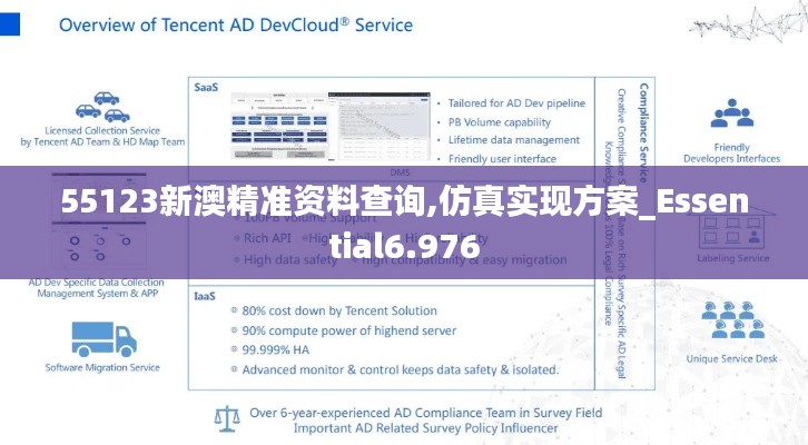 55123新澳精准资料查询,仿真实现方案_Essential6.976