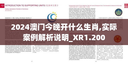 2024澳门今晚开什么生肖,实际案例解析说明_XR1.200