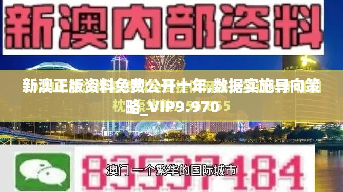 新澳正版资料免费公开十年,数据实施导向策略_VIP9.970