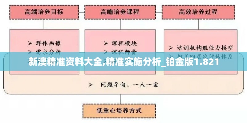 新澳精准资料大全,精准实施分析_铂金版1.821