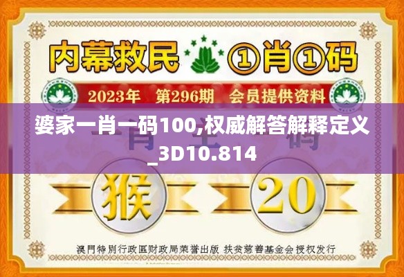 婆家一肖一码100,权威解答解释定义_3D10.814