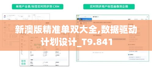 新澳版精准单双大全,数据驱动计划设计_T9.841