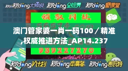 澳门管家婆一肖一码100／精准,权威推进方法_AP14.237