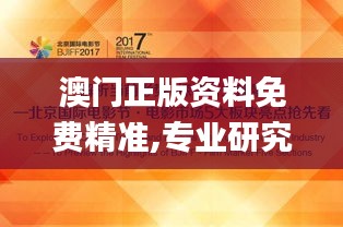 澳门正版资料免费精准,专业研究解析说明_定制版9.425