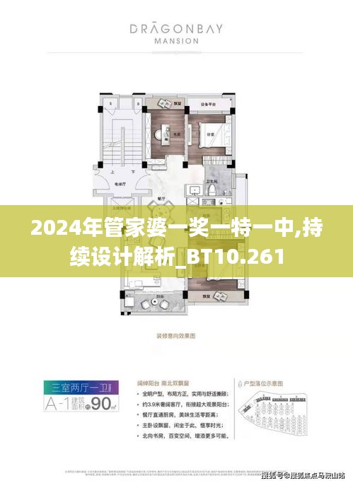 2024年管家婆一奖一特一中,持续设计解析_BT10.261