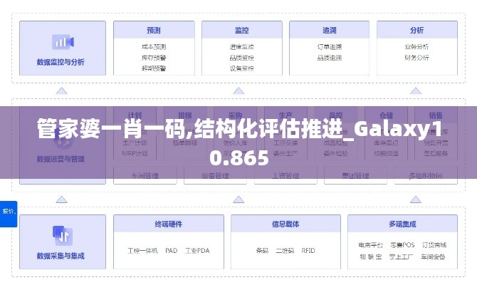 管家婆一肖一码,结构化评估推进_Galaxy10.865