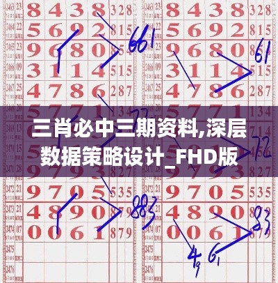 三肖必中三期资料,深层数据策略设计_FHD版1.745