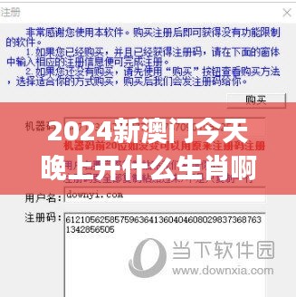 2024新澳门今天晚上开什么生肖啊,定性解答解释定义_精简版8.736