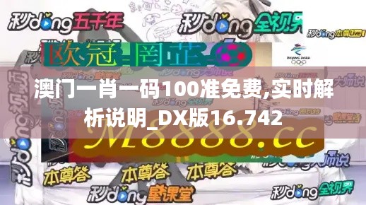 澳门一肖一码100准免费,实时解析说明_DX版16.742