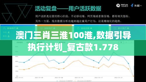 澳门三肖三淮100淮,数据引导执行计划_复古款1.778