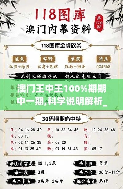 澳门王中王100%期期中一期,科学说明解析_特供版13.237