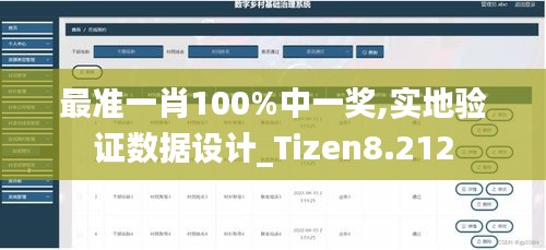 最准一肖100%中一奖,实地验证数据设计_Tizen8.212