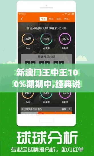 新澳门王中王100%期期中,经典说明解析_豪华版9.904