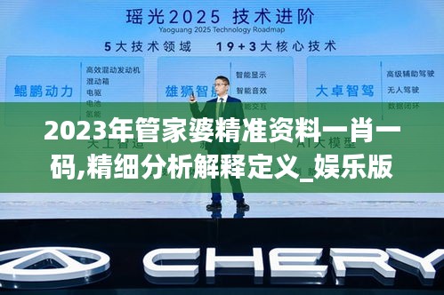 2023年管家婆精准资料一肖一码,精细分析解释定义_娱乐版8.517