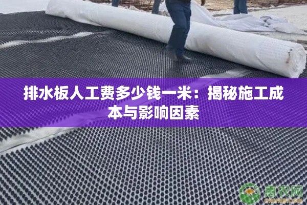 排水板人工费多少钱一米：揭秘施工成本与影响因素