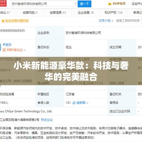 小米新能源豪华款：科技与奢华的完美融合