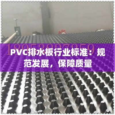 PVC排水板行业标准：规范发展，保障质量