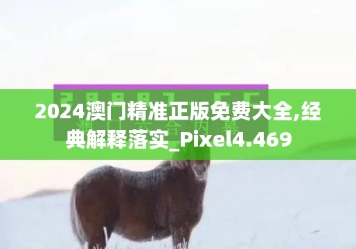 2024澳门精准正版免费大全,经典解释落实_Pixel4.469