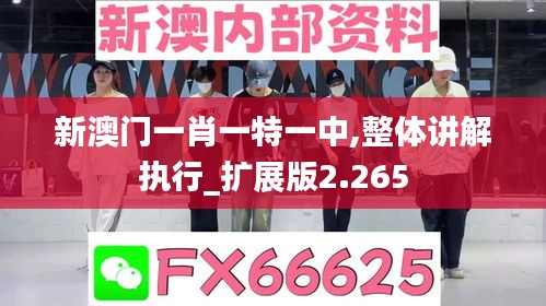 新澳门一肖一特一中,整体讲解执行_扩展版2.265