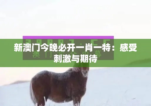 新澳门今晚必开一肖一特：感受刺激与期待