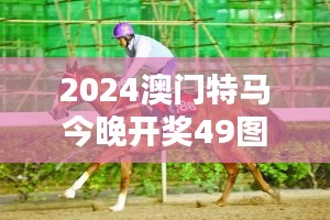 2024澳门特马今晚开奖49图片：紧张刺激的开奖仪式