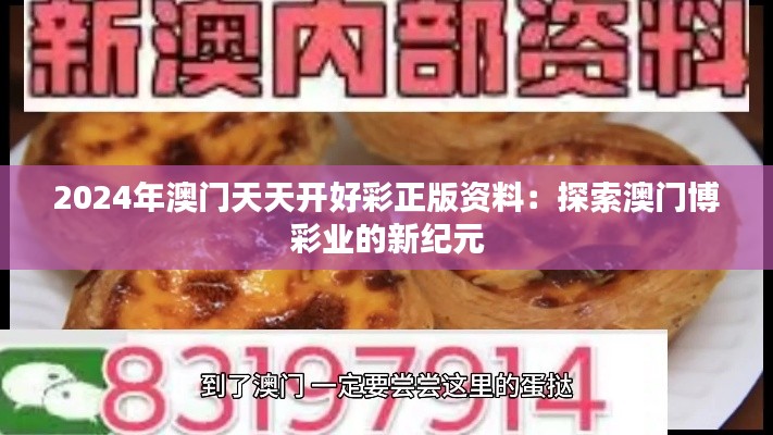 2024年澳门天天开好彩正版资料：探索澳门博彩业的新纪元