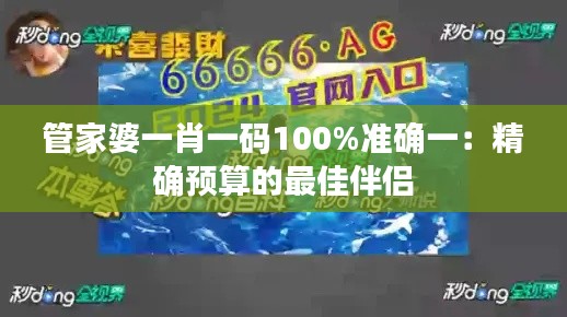 管家婆一肖一码100%准确一：精确预算的最佳伴侣