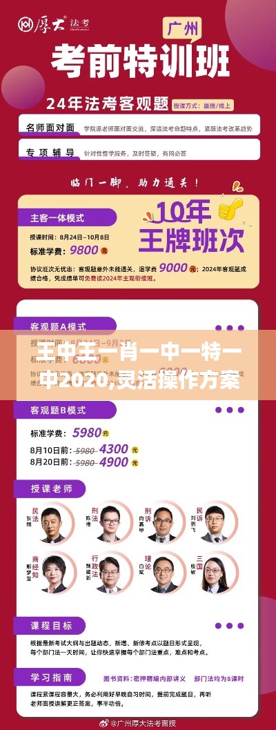 王中王一肖一中一特一中2020,灵活操作方案设计_经典版1.785