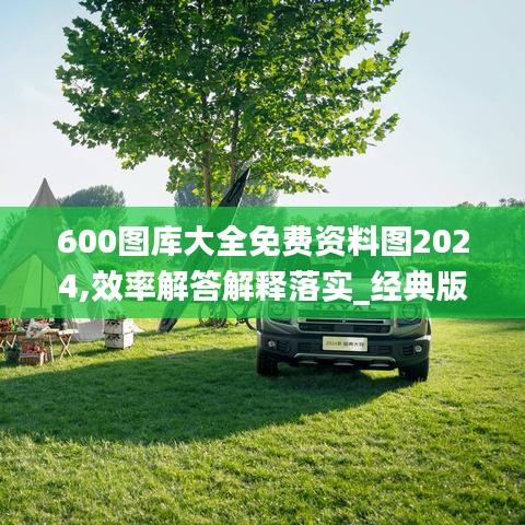 600图库大全免费资料图2024,效率解答解释落实_经典版10.974