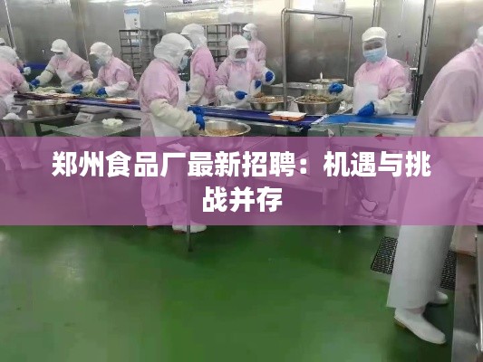 郑州食品厂最新招聘：机遇与挑战并存