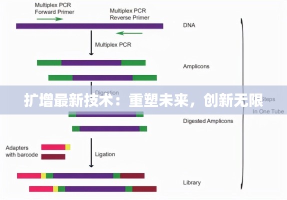 扩增最新技术：重塑未来，创新无限